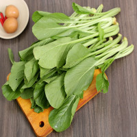 Cải ngọt Mê Linh